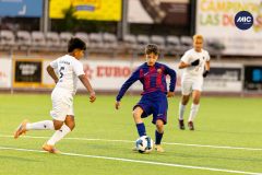 MIC26_MIC26__IC12166