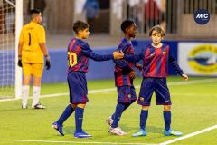 MIC26_MIC26__IC12239