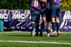 MIC26_MIC26__IC13129