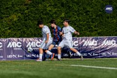 MIC26_MIC26__IC13147