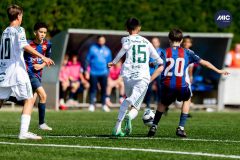 MIC26_MIC26__IC13186