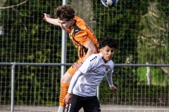 MIC26_DIMECRES_SHA_NAP-27