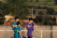 MIC26_FCVILABLAREIXSCBRAGA_11