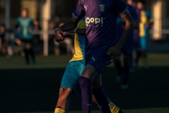 MIC26_FCVILABLAREIXSCBRAGA_42