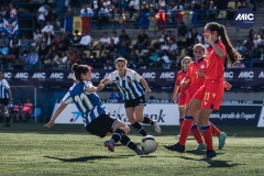 MIC22_F20_ESP_AND_DM-51