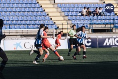 MIC22_F20_ESP_AND_DM-53