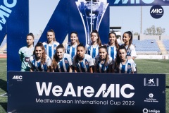 MIC22_F20_ESP_AND_DM-6