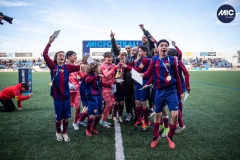 MIC24_U12A_FCB_RMCF_DS-101