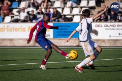 MIC24_U12A_FCB_RMCF_DS-20
