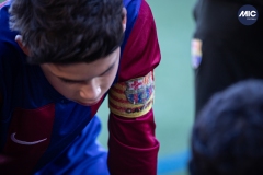 MIC24_U12A_FCB_RMCF_DS-40