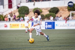 MIC24_U12A_RMCF_MANU_DS-50
