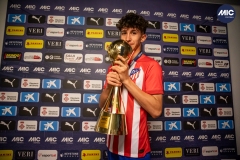 MIC24_U15_ATM_VIL_DS-52
