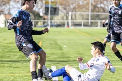 FUTBOL-CONSULTANTS-BD-FC-18