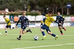 MIC26_MIC26__IC11061