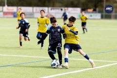 MIC26_MIC26__IC11067