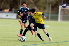 MIC26_MIC26__IC11075