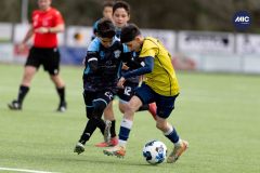 MIC26_MIC26__IC11079