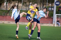 MIC26_DIJOUS_FUT_CESH-20