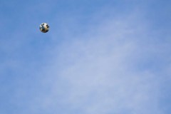 MIC26_DIJOUS_TARDA2-web-16