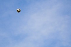 MIC26_DIJOUS_TARDA2-web-17