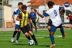 MIC26_U19_MAJESTICA_ACHOSTALRIC-19