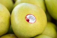 MIC26_DISSABTE_INTEGRA-17