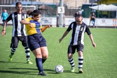 MIC23_INTEGRA_VIDRERES-24