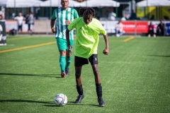 MIC23_INTEGRA_VIDRERES-42