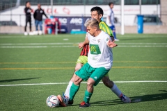 MIC23_INTEGRA_VIDRERES-5