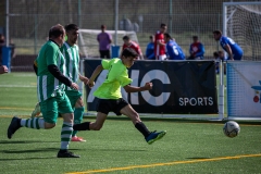 MIC23_INTEGRA_VIDRERES-51