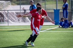 MIC23_INTEGRA_VIDRERES-56