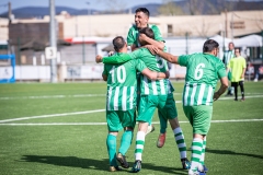 MIC23_INTEGRA_VIDRERES-63