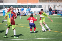 MIC23_INTEGRA_VIDRERES-88