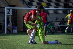MIC23_INTEGRA_VIDRERES-91