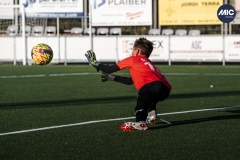 U12A_GF_BAR_CEL_DMV-11