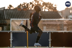 U12A_GF_BAR_CEL_DMV-27