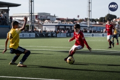 U12A_FF_MANU_MER_DMV-12