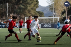 U12A_FF_STR_MAD_DMV-15