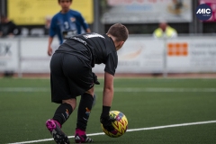 U12A_GB_FIG_MIL_DMV-18