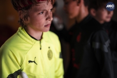 U12A_GB_FIG_MIL_DMV-4