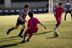 U13_GC_SAK_BAS_DMV-12
