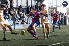 U16_FF_CRY_BARA_DMV-10