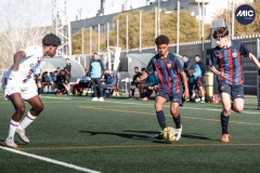 U16_FF_BAR_CRY_DMV-12