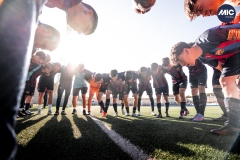 U16_FF_BAR_CRY_DMV-9