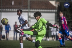 MIC23_U16_MAR_CRY_RG_04