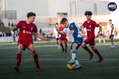 U16_FF_ESP_LIV_DMV-41