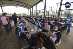 MIC22_MIC_INTEGRA_DINAR_RG_06-copia