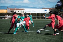 MIC26_NEWCASTLEFC_WAKATAKEFC_ALBERTFERNANDEZ_WEB-17