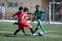 MIC26_NEWCASTLEFC_WAKATAKEFC_ALBERTFERNANDEZ_WEB-29