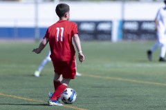 nike-elite-pama-15